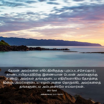 Picture 03 - எண்ணாகமம் 24:8 TAMIRV - தேவன் அவர்களை - Bible Verse Picture