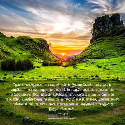 Picture 03 - எண்ணாகமம் 25:11 TAMIRV - “நான் என்னுடைய - Bible Verse Picture