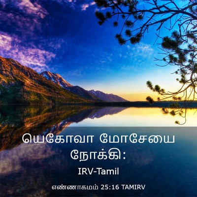 Picture 03 - எண்ணாகமம் 25:16 TAMIRV - யெகோவா மோசேயை - Bible Verse Picture