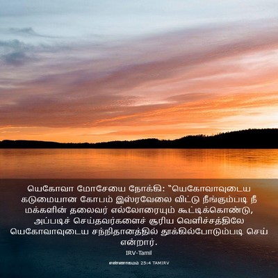 Picture 03 - எண்ணாகமம் 25:4 TAMIRV - யெகோவா மோசேயை - Bible Verse Picture
