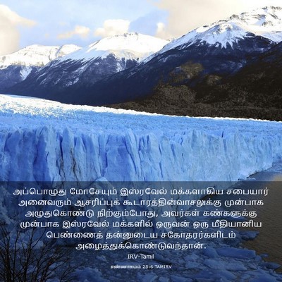 Picture 03 - எண்ணாகமம் 25:6 TAMIRV - அப்பொழுது - Bible Verse Picture
