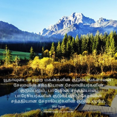 Picture 03 - எண்ணாகமம் 26:20 TAMIRV - யூதாவுடைய மற்ற - Bible Verse Picture