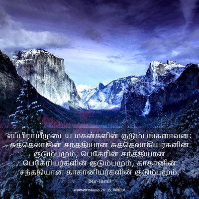 Picture 03 - எண்ணாகமம் 26:35 TAMIRV - எப்பிராயீமுடைய - Bible Verse Picture