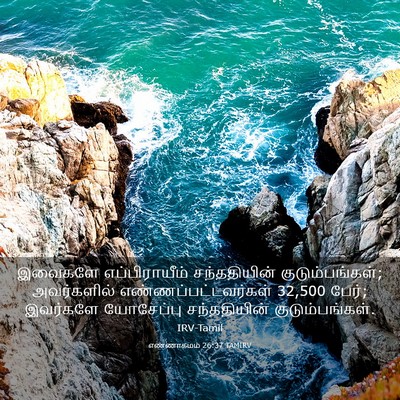 Picture 03 - எண்ணாகமம் 26:37 TAMIRV - இவைகளே - Bible Verse Picture