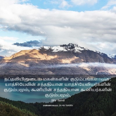 Picture 03 - எண்ணாகமம் 26:48 TAMIRV - நப்தலியினுடைய - Bible Verse Picture