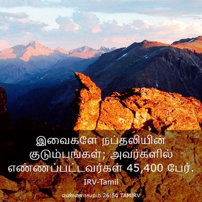 Picture 03 - எண்ணாகமம் 26:50 TAMIRV - இவைகளே நப்தலியின் - Bible Verse Picture