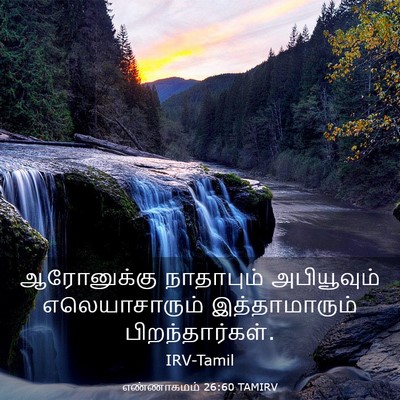Picture 03 - எண்ணாகமம் 26:60 TAMIRV - ஆரோனுக்கு - Bible Verse Picture
