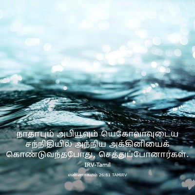 Picture 03 - எண்ணாகமம் 26:61 TAMIRV - நாதாபும் - Bible Verse Picture