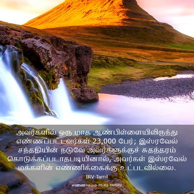 Picture 03 - எண்ணாகமம் 26:62 TAMIRV - அவர்களில் ஒரு மாத - Bible Verse Picture
