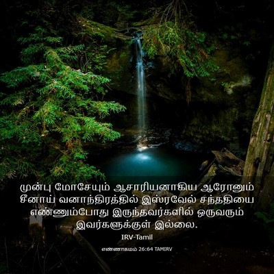 Picture 03 - எண்ணாகமம் 26:64 TAMIRV - முன்பு மோசேயும் - Bible Verse Picture