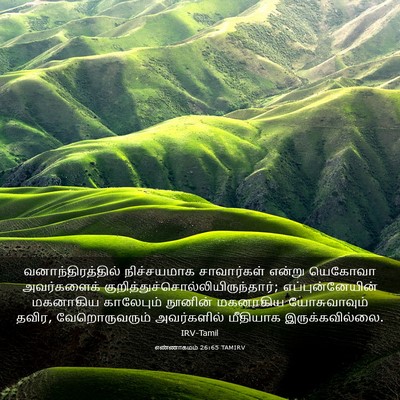 Picture 03 - எண்ணாகமம் 26:65 TAMIRV - வனாந்திரத்தில் - Bible Verse Picture