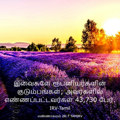 Picture 03 - எண்ணாகமம் 26:7 TAMIRV - இவைகளே - Bible Verse Picture
