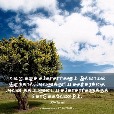 Picture 03 - எண்ணாகமம் 27:10 TAMIRV - அவனுக்குச் - Bible Verse Picture