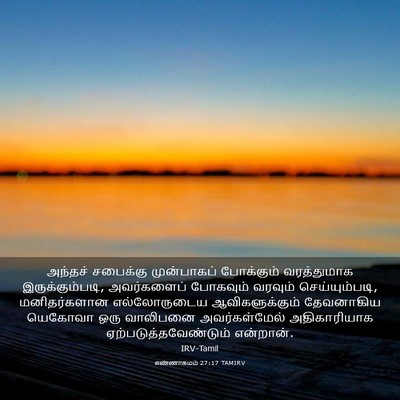 Picture 03 - எண்ணாகமம் 27:17 TAMIRV - அந்தச் சபைக்கு - Bible Verse Picture