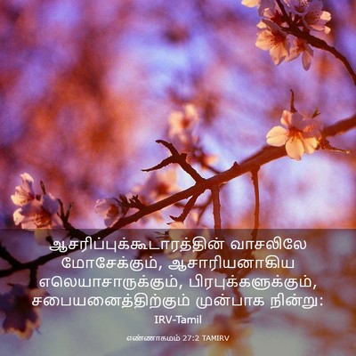 Picture 03 - எண்ணாகமம் 27:2 TAMIRV -  - Bible Verse Picture