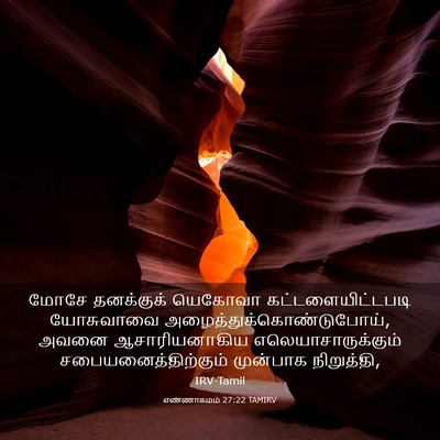 Picture 03 - எண்ணாகமம் 27:22 TAMIRV - மோசே தனக்குக் - Bible Verse Picture