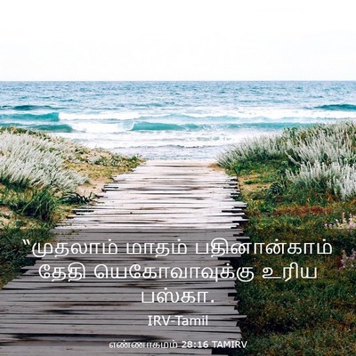 Picture 03 - எண்ணாகமம் 28:16 TAMIRV - “முதலாம் மாதம் - Bible Verse Picture