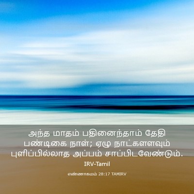 Picture 03 - எண்ணாகமம் 28:17 TAMIRV - அந்த மாதம் - Bible Verse Picture