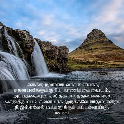 Picture 03 - எண்ணாகமம் 28:2 TAMIRV - “எனக்கு நறுமண - Bible Verse Picture
