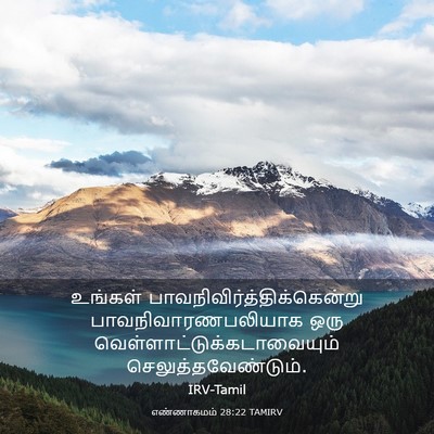Picture 03 - எண்ணாகமம் 28:22 TAMIRV - உங்கள் - Bible Verse Picture