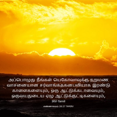Picture 03 - எண்ணாகமம் 28:27 TAMIRV - அப்பொழுது நீங்கள் - Bible Verse Picture