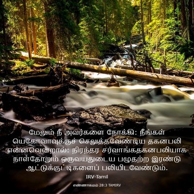 Picture 03 - எண்ணாகமம் 28:3 TAMIRV - மேலும் நீ அவர்களை - Bible Verse Picture