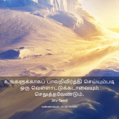 Picture 03 - எண்ணாகமம் 28:30 TAMIRV - உங்களுக்காகப் - Bible Verse Picture