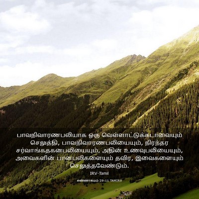 Picture 03 - எண்ணாகமம் 29:11 TAMIRV - பாவநிவாரணபலியாக - Bible Verse Picture