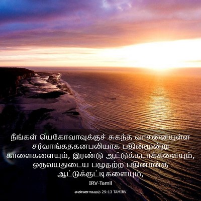 Picture 03 - எண்ணாகமம் 29:13 TAMIRV - நீங்கள் - Bible Verse Picture