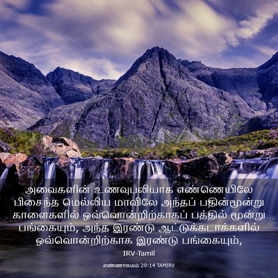 Picture 03 - எண்ணாகமம் 29:14 TAMIRV - அவைகளின் - Bible Verse Picture