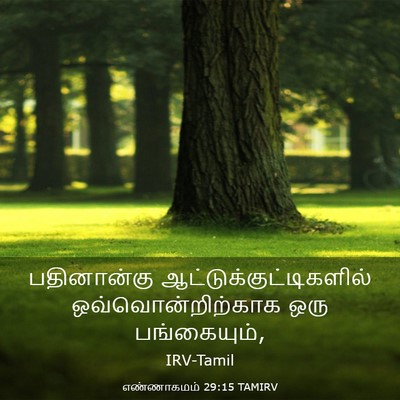 Picture 03 - எண்ணாகமம் 29:15 TAMIRV - பதினான்கு - Bible Verse Picture