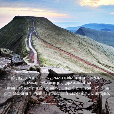 Picture 03 - எண்ணாகமம் 29:19 TAMIRV - நிரந்தர சர்வாங்க - Bible Verse Picture