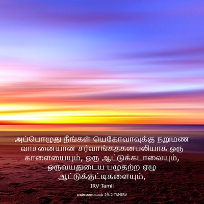 Picture 03 - எண்ணாகமம் 29:2 TAMIRV - அப்பொழுது நீங்கள் - Bible Verse Picture