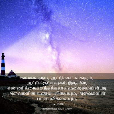 Picture 03 - எண்ணாகமம் 29:24 TAMIRV - காளைகளும், - Bible Verse Picture