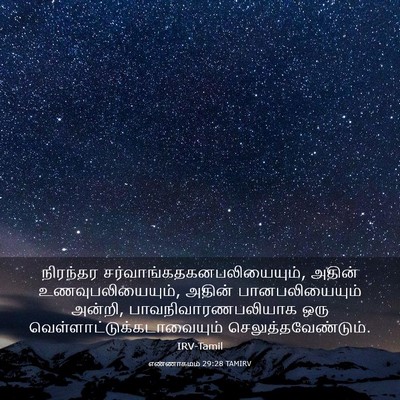 Picture 03 - எண்ணாகமம் 29:28 TAMIRV - நிரந்தர - Bible Verse Picture