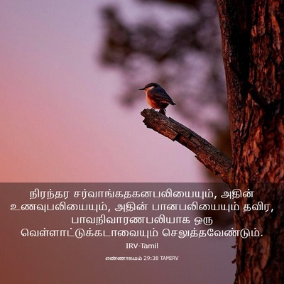 Picture 03 - எண்ணாகமம் 29:38 TAMIRV - நிரந்தர - Bible Verse Picture