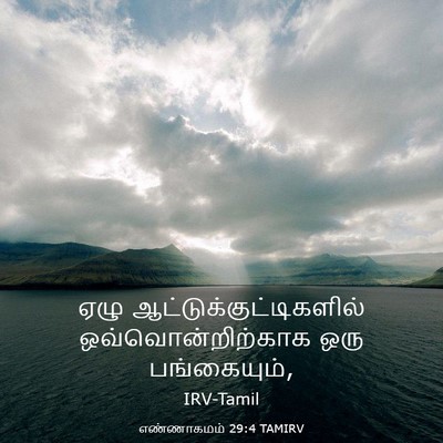 Picture 03 - எண்ணாகமம் 29:4 TAMIRV - ஏழு - Bible Verse Picture