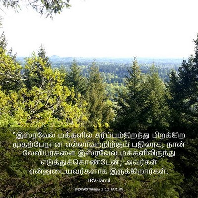 Picture 03 - எண்ணாகமம் 3:12 TAMIRV - “இஸ்ரவேல் - Bible Verse Picture