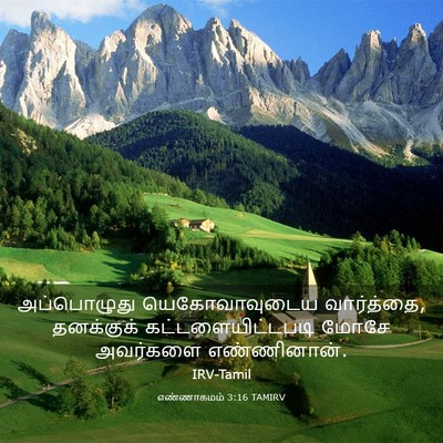 Picture 03 - எண்ணாகமம் 3:16 TAMIRV - அப்பொழுது - Bible Verse Picture