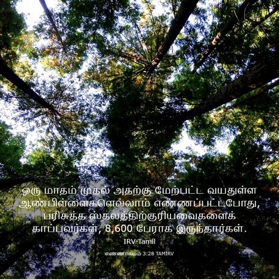 Picture 03 - எண்ணாகமம் 3:28 TAMIRV - ஒரு மாதம் முதல் - Bible Verse Picture