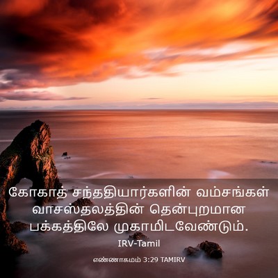 Picture 03 - எண்ணாகமம் 3:29 TAMIRV - கோகாத் - Bible Verse Picture