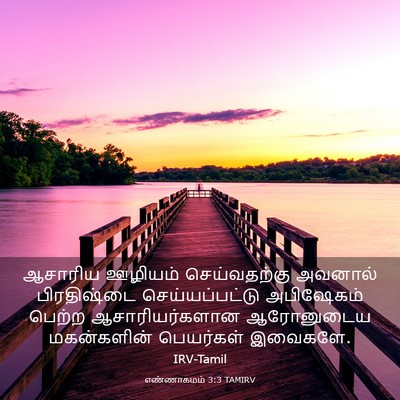 Picture 03 - எண்ணாகமம் 3:3 TAMIRV - ஆசாரிய ஊழியம் - Bible Verse Picture