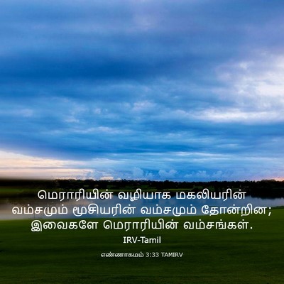 Picture 03 - எண்ணாகமம் 3:33 TAMIRV - மெராரியின் வழியாக - Bible Verse Picture