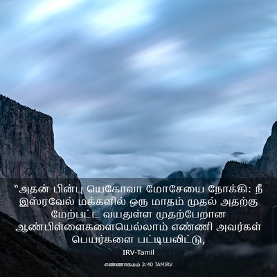 Picture 03 - எண்ணாகமம் 3:40 TAMIRV - “அதன் பின்பு - Bible Verse Picture