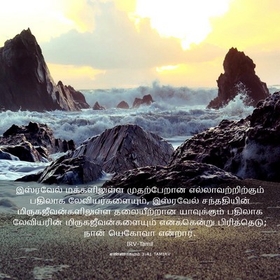 Picture 03 - எண்ணாகமம் 3:41 TAMIRV - இஸ்ரவேல் - Bible Verse Picture
