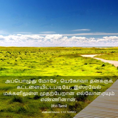 Picture 03 - எண்ணாகமம் 3:42 TAMIRV - அப்பொழுது மோசே, - Bible Verse Picture