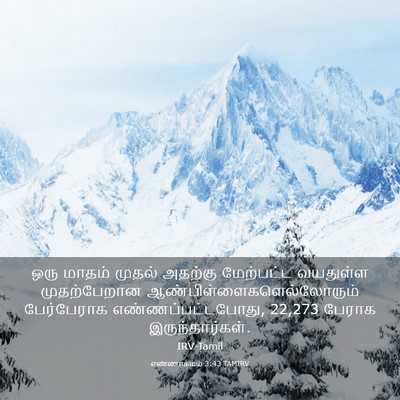 Picture 03 - எண்ணாகமம் 3:43 TAMIRV - ஒரு மாதம் முதல் - Bible Verse Picture