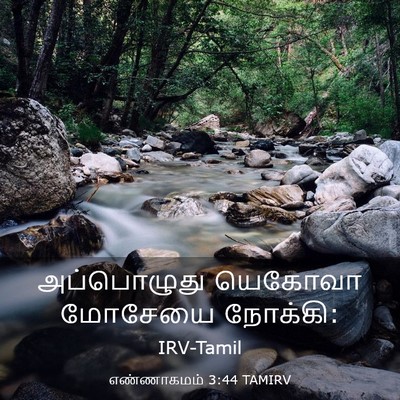 Picture 03 - எண்ணாகமம் 3:44 TAMIRV - அப்பொழுது யெகோவா - Bible Verse Picture