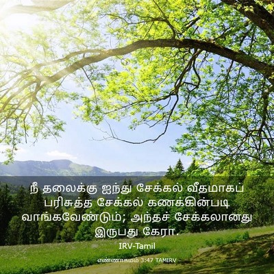 Picture 03 - எண்ணாகமம் 3:47 TAMIRV - நீ தலைக்கு ஐந்து - Bible Verse Picture