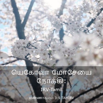 Picture 03 - எண்ணாகமம் 3:5 TAMIRV - யெகோவா மோசேயை - Bible Verse Picture